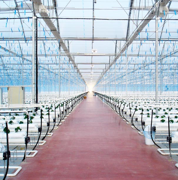 preguntas frecuentes de los filtros de riego por goteo