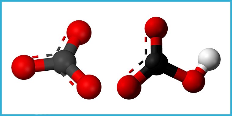Carbonatos y Bicarbonatos